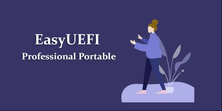 EasyUEFI Professional Portable v4.9